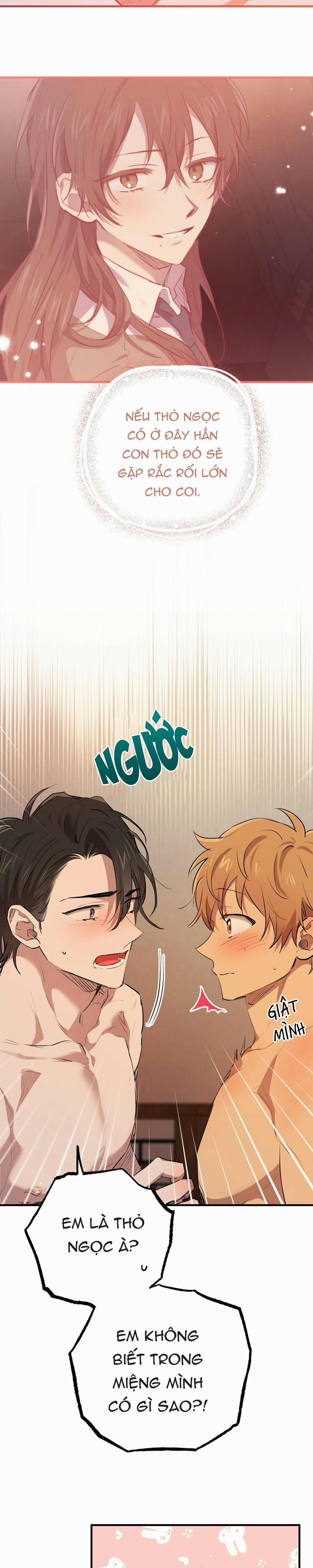 Những Chú Thỏ Của Habibi 29 trang 3