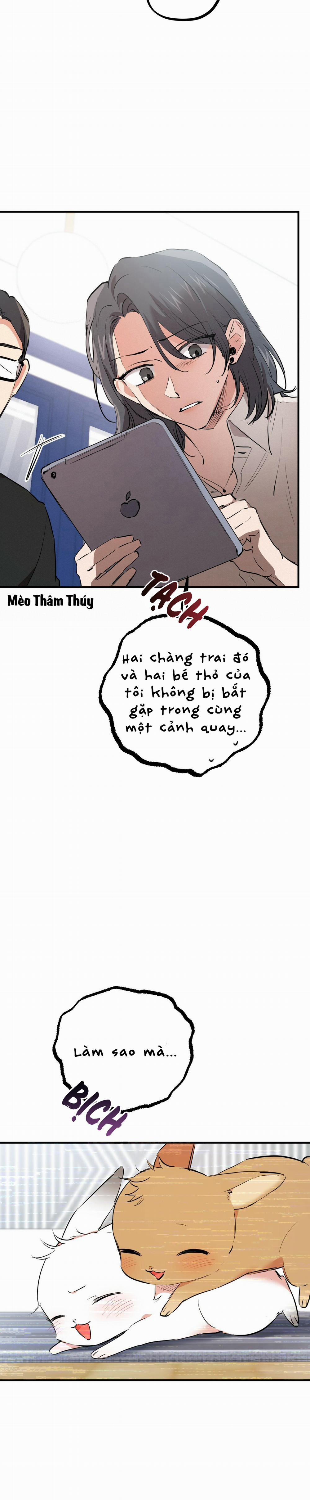 Những Chú Thỏ Của Habibi 35 trang 10