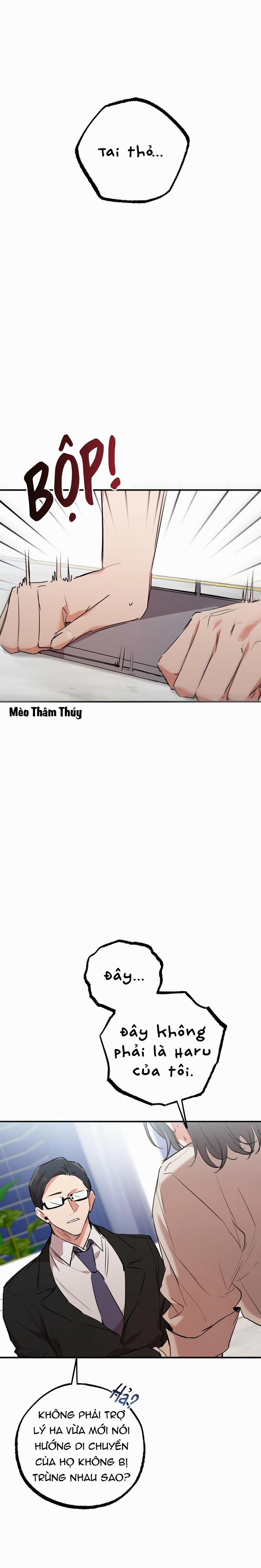 Những Chú Thỏ Của Habibi 35 trang 12