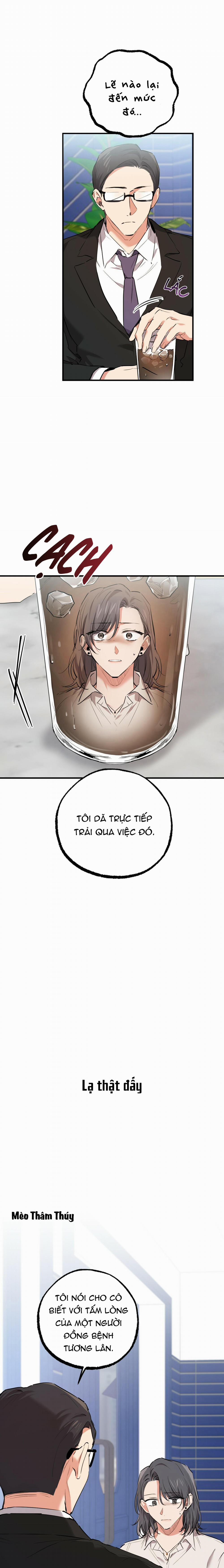 Những Chú Thỏ Của Habibi 35 trang 18