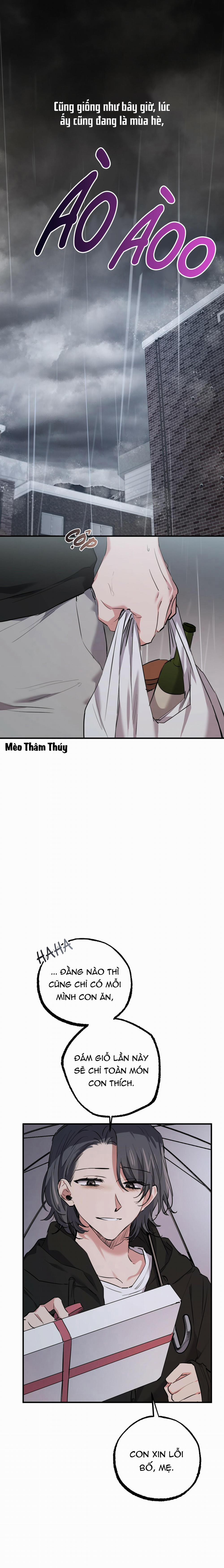 Những Chú Thỏ Của Habibi 35 trang 22