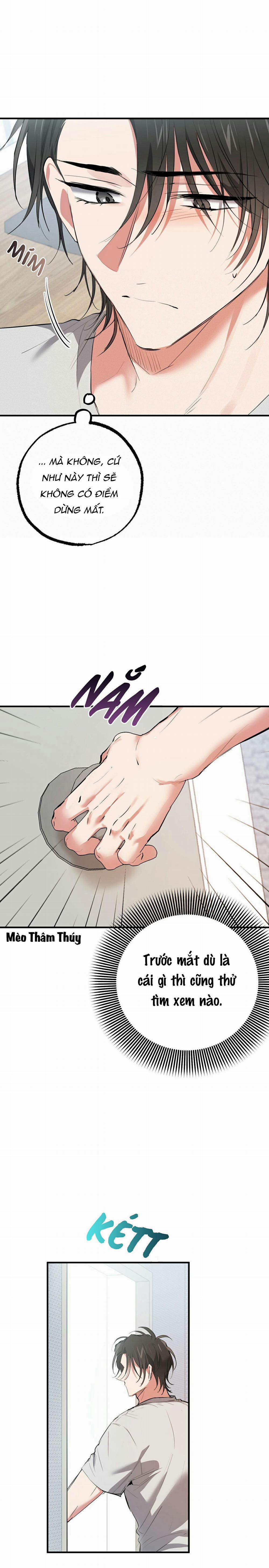 Những Chú Thỏ Của Habibi 39 trang 6
