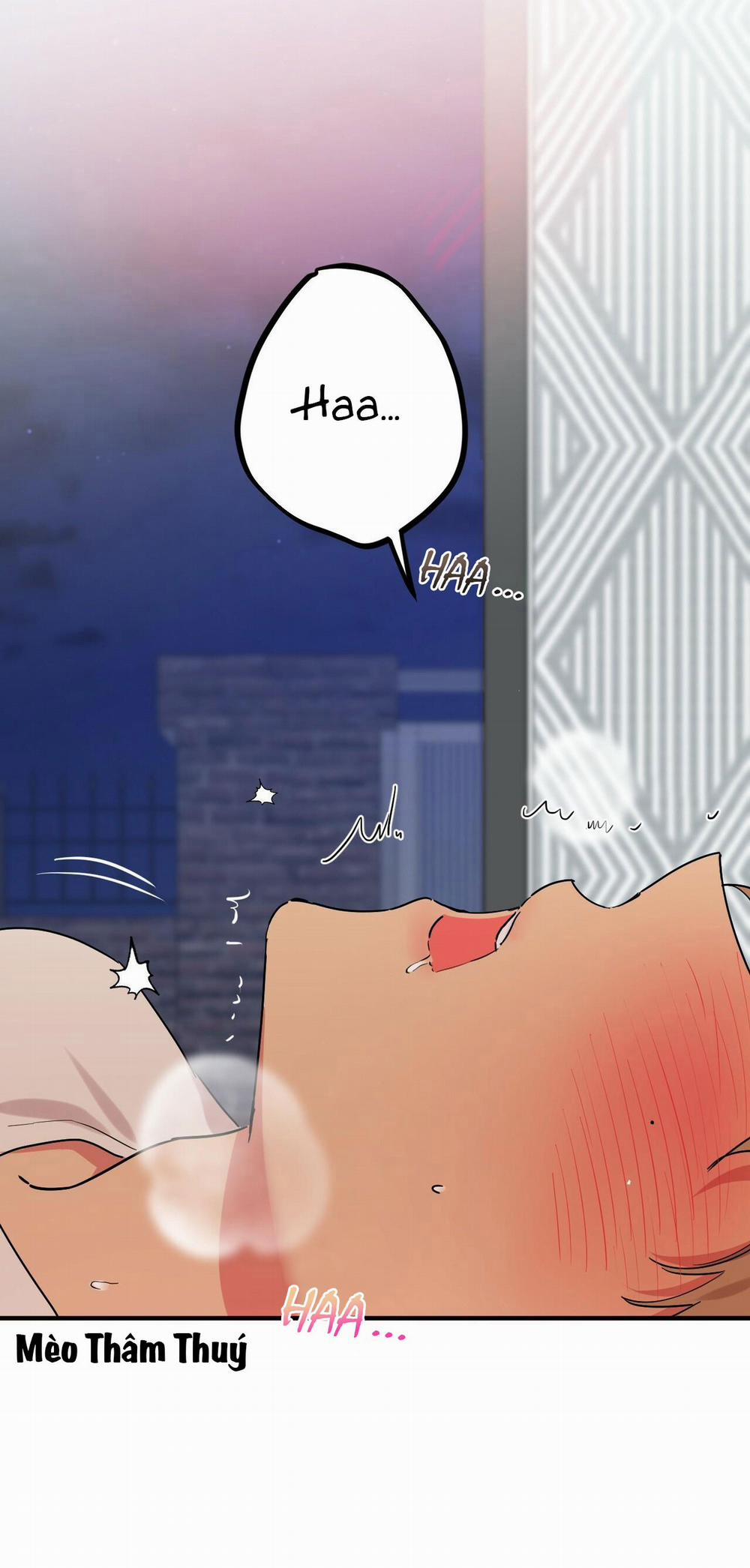 Những Chú Thỏ Của Habibi 9 trang 3