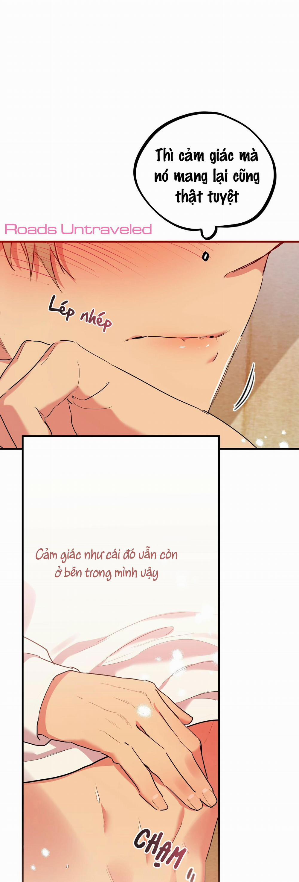 Những Chú Thỏ Của Habibi 9 trang 42