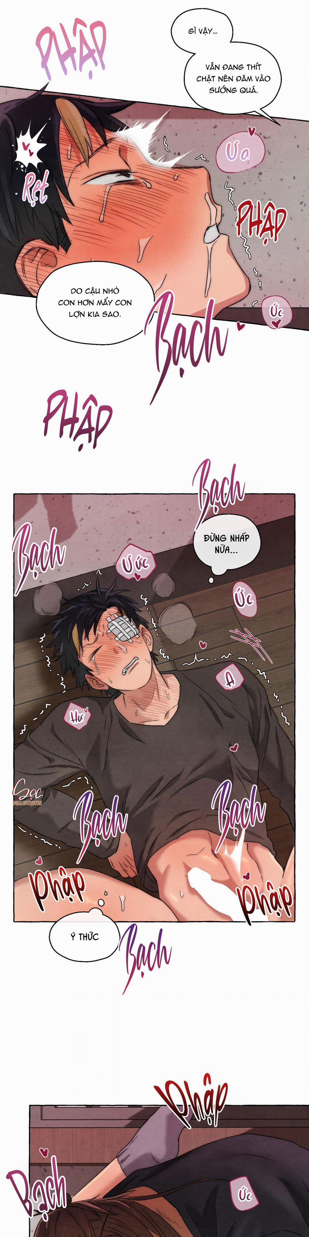 NHỮNG CON CHÓ TRONG TÙ 10 H++ trang 11