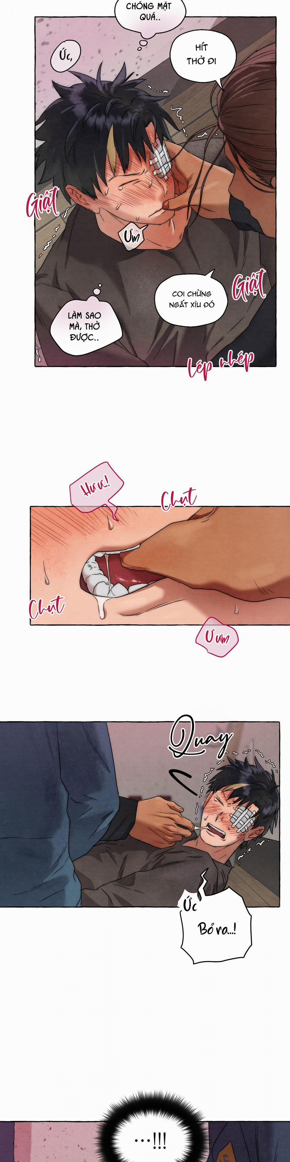 NHỮNG CON CHÓ TRONG TÙ 10 H++ trang 3