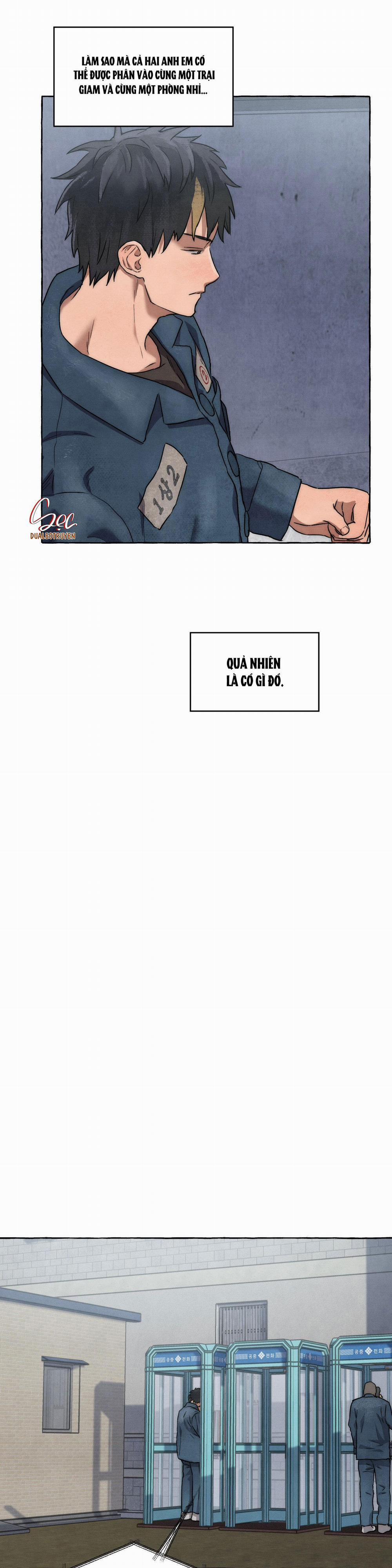 NHỮNG CON CHÓ TRONG TÙ 12 0 trang 21