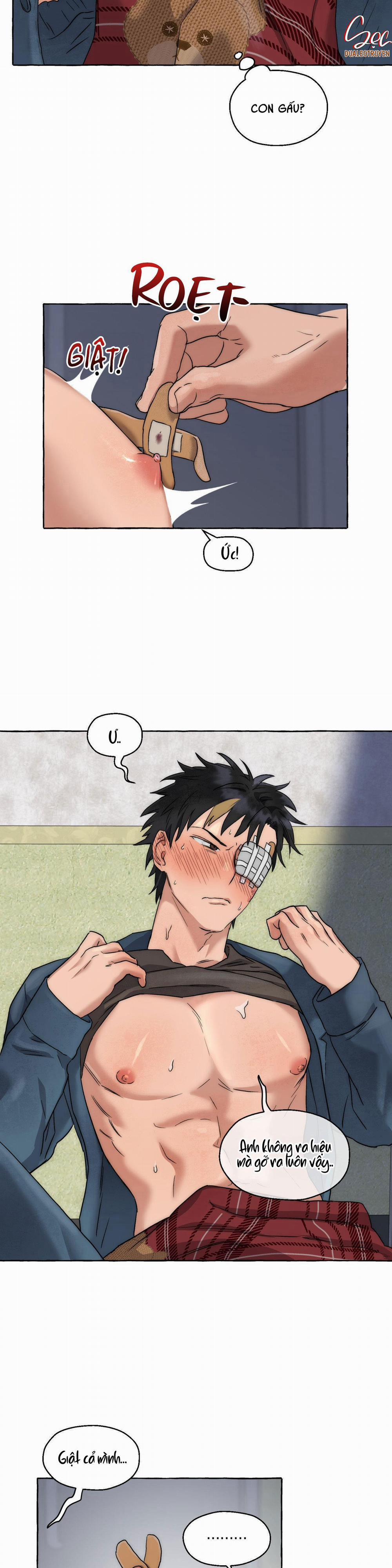 NHỮNG CON CHÓ TRONG TÙ 12 trang 4