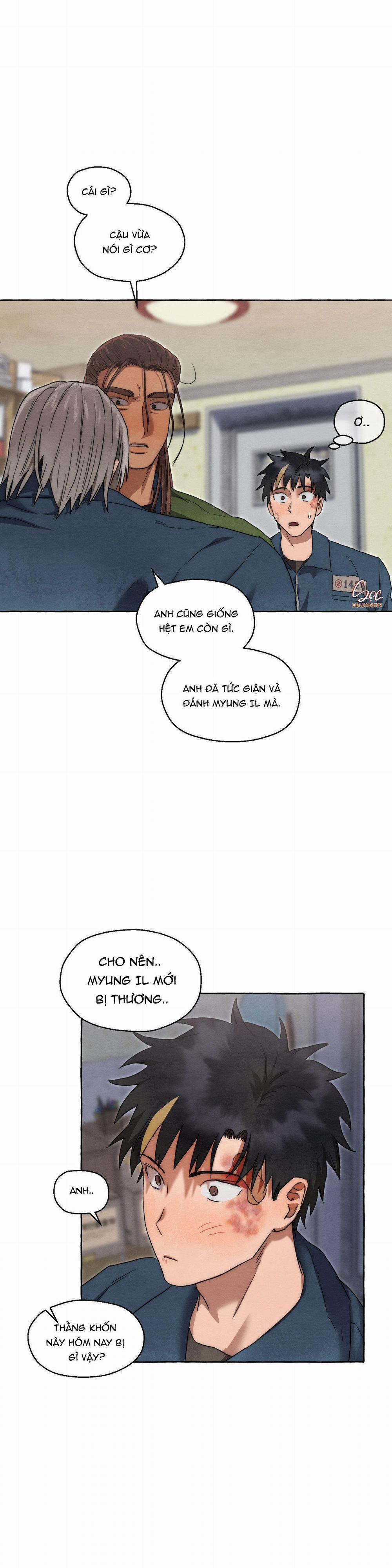 NHỮNG CON CHÓ TRONG TÙ 20 trang 11