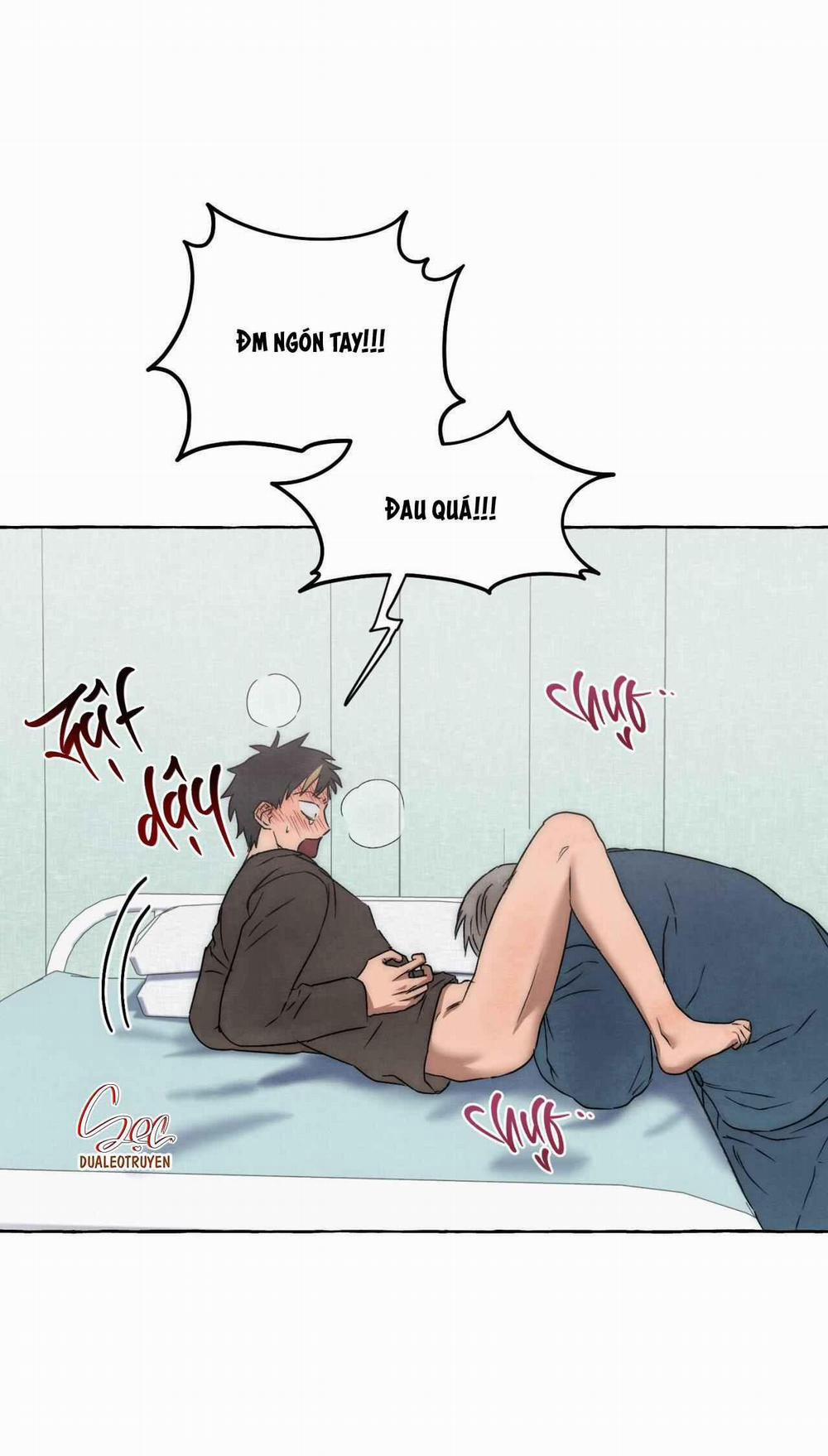 NHỮNG CON CHÓ TRONG TÙ 40 trang 12