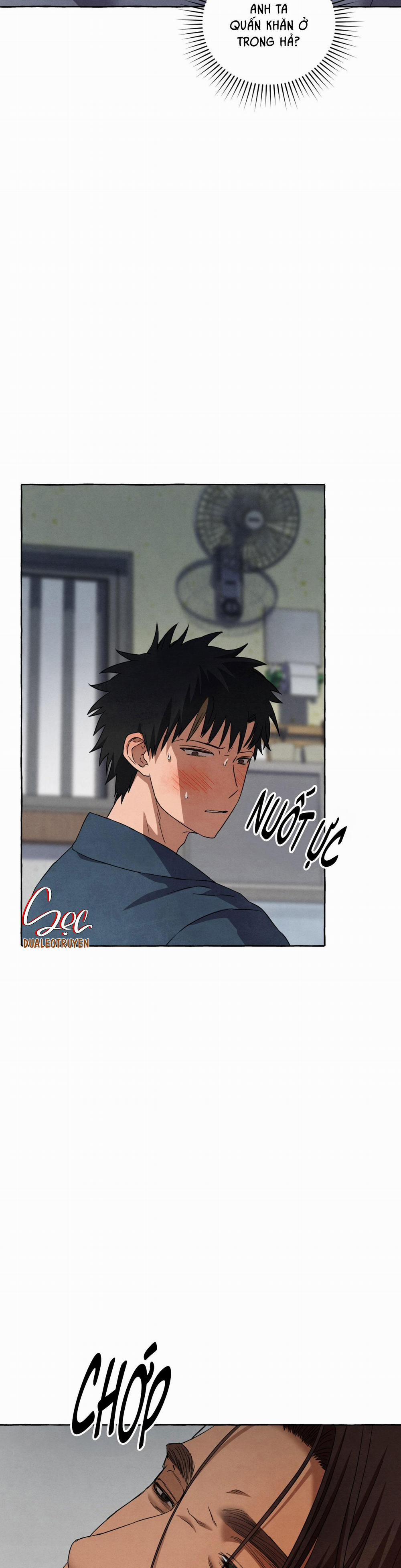 NHỮNG CON CHÓ TRONG TÙ 49 trang 3