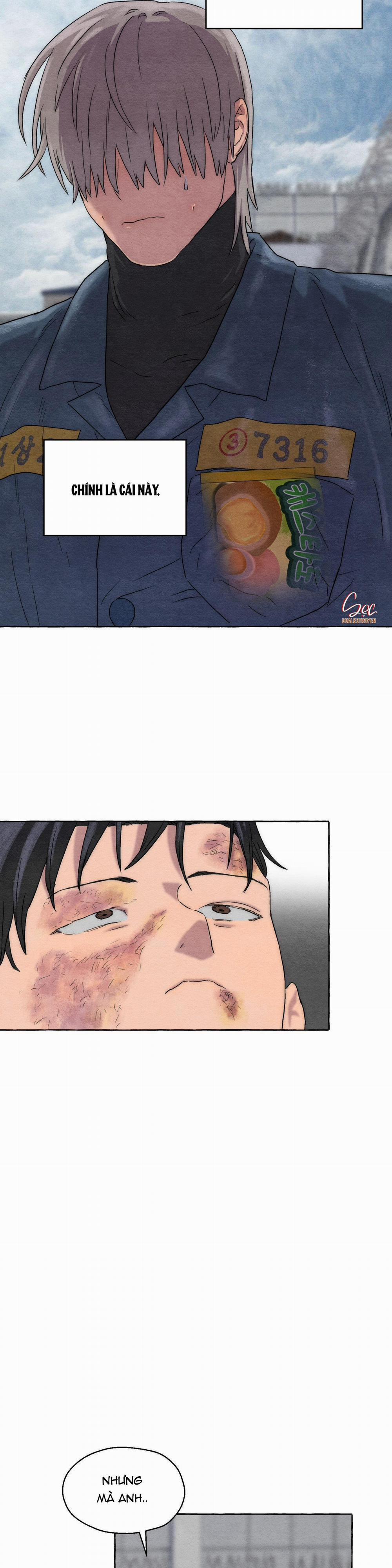 NHỮNG CON CHÓ TRONG TÙ 5 NGANG RAW trang 6