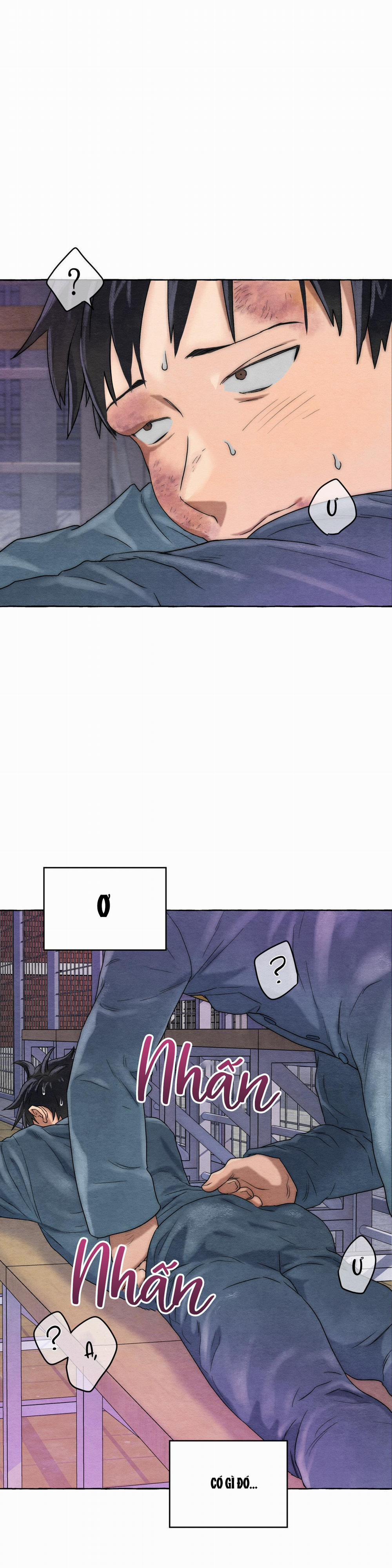 NHỮNG CON CHÓ TRONG TÙ 5 trang 1