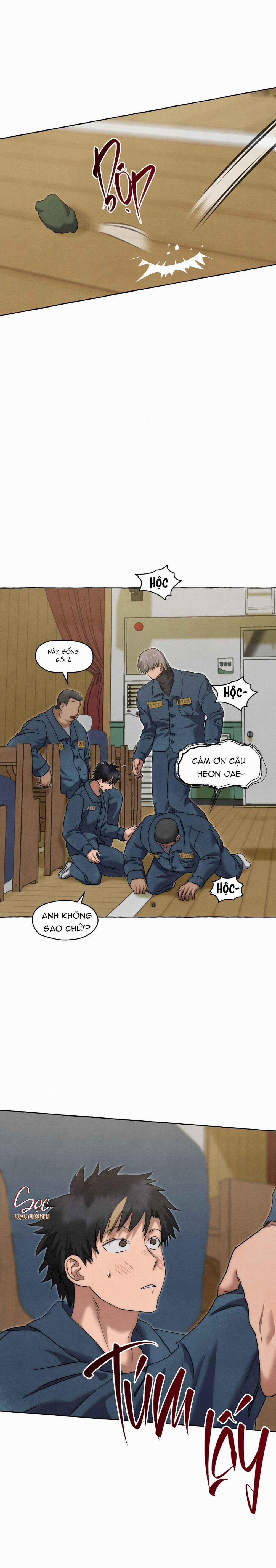 NHỮNG CON CHÓ TRONG TÙ 53 trang 19