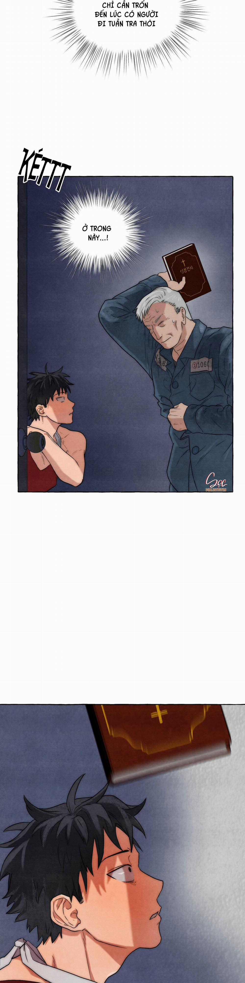 NHỮNG CON CHÓ TRONG TÙ 7 trang 11