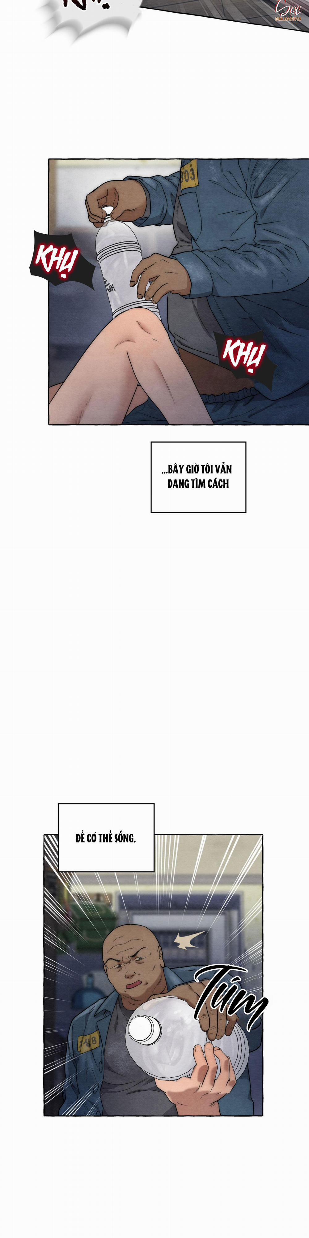 NHỮNG CON CHÓ TRONG TÙ 7 trang 20