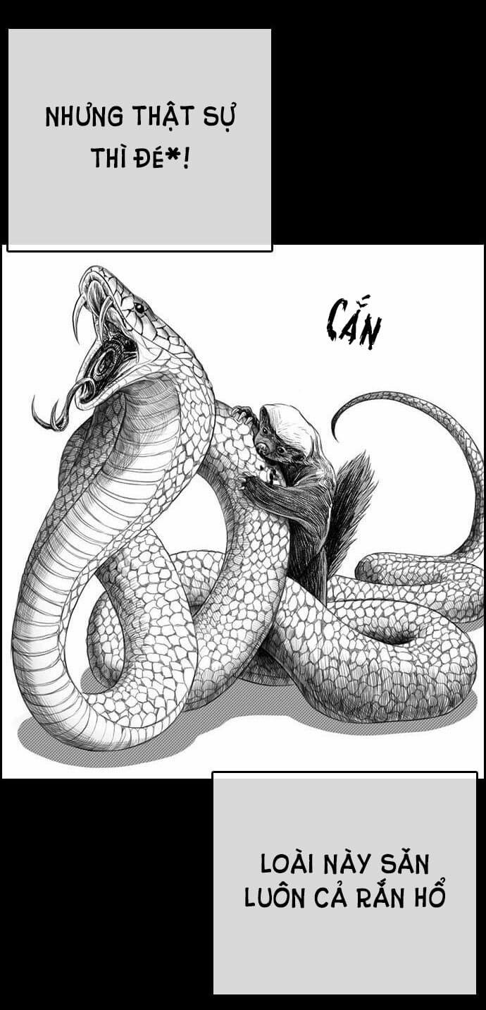 Những Mảnh đời Tan Vỡ 4 trang 4