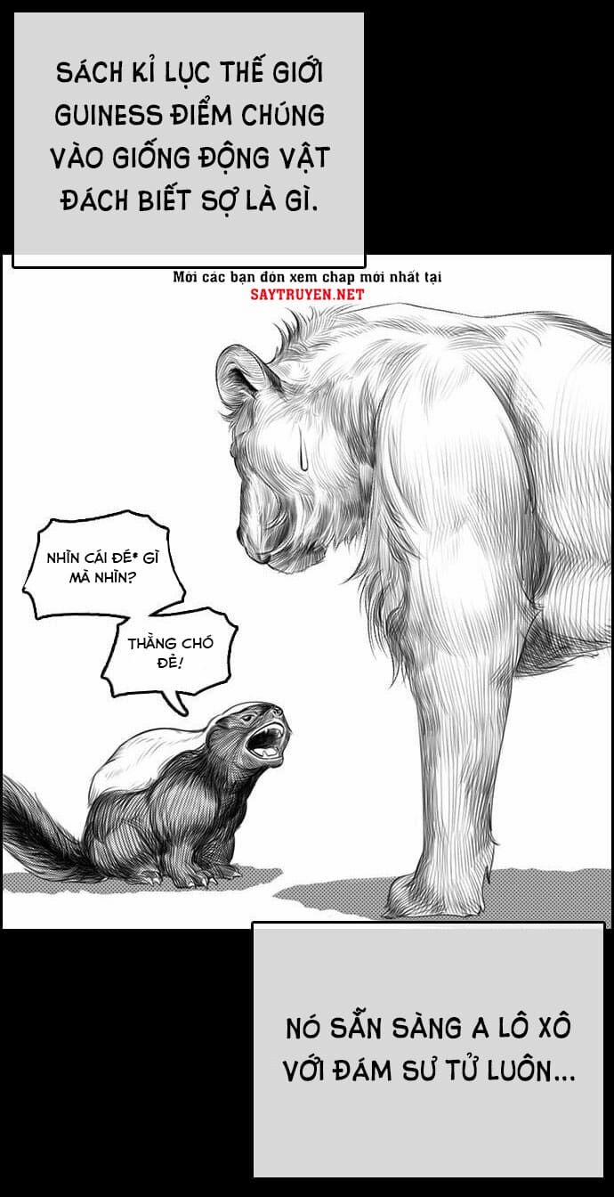 Những Mảnh đời Tan Vỡ 4 trang 5