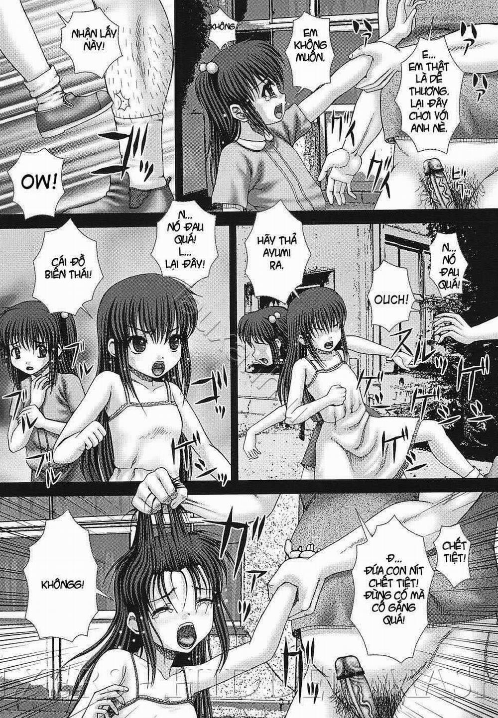 Niềm vui và nỗi đau 4 trang 8