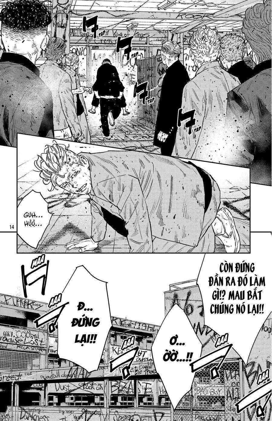 Nine Peaks 125 trang 12