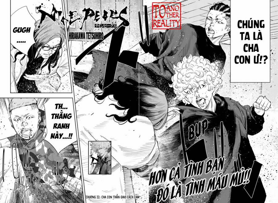 Nine Peaks 22 trang 1