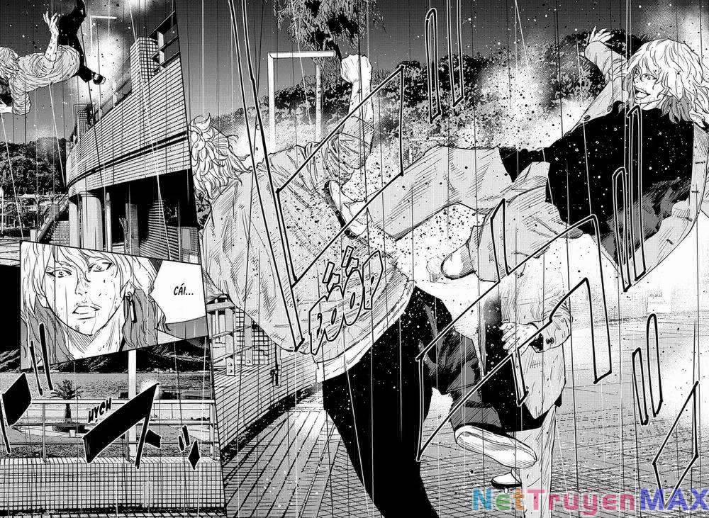 Nine Peaks 55 trang 5