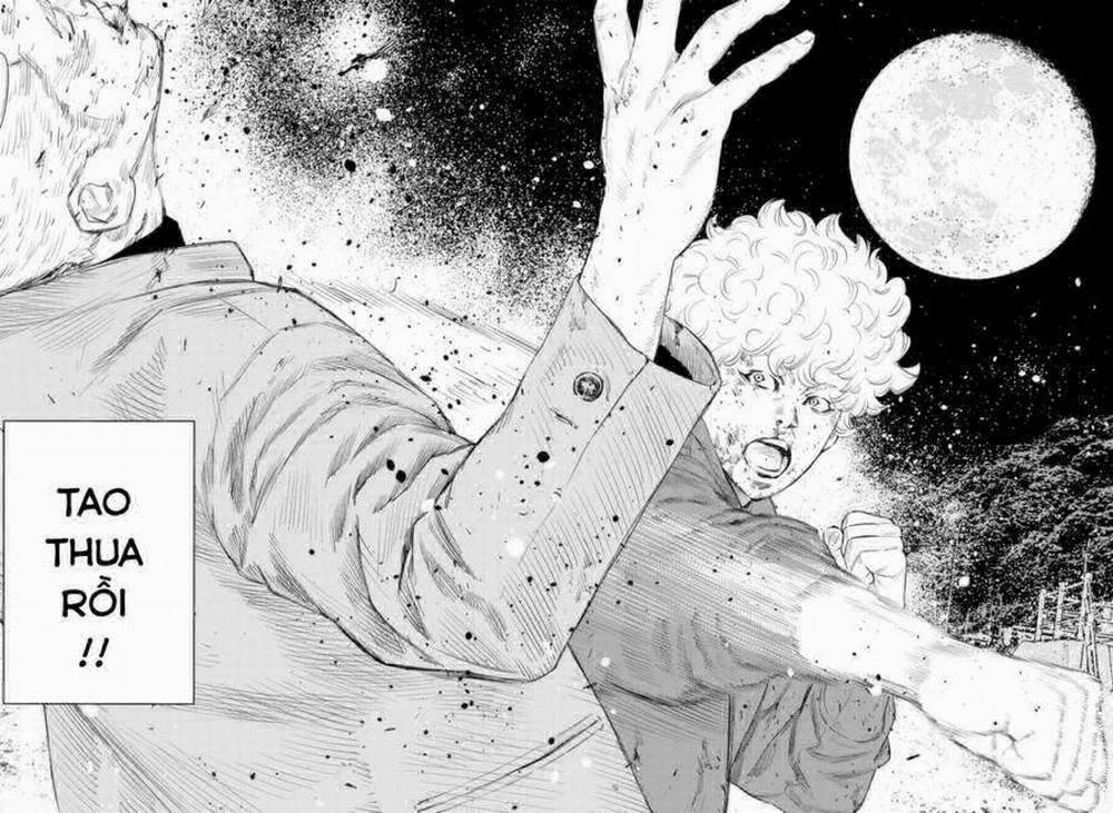 Nine Peaks 8 trang 5