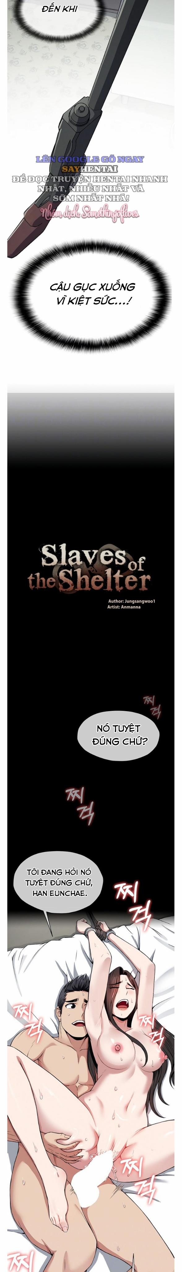Nô Lệ Hầm Trú Ẩn 10 trang 2