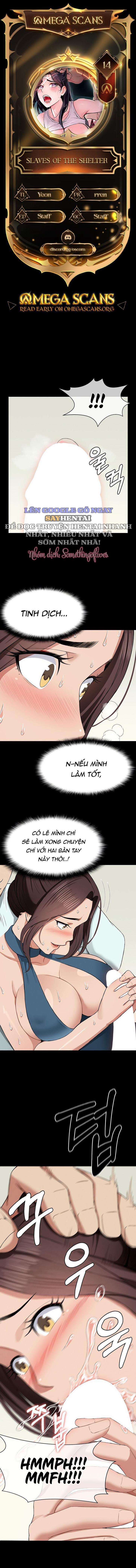 Nô Lệ Hầm Trú Ẩn 14 trang 0