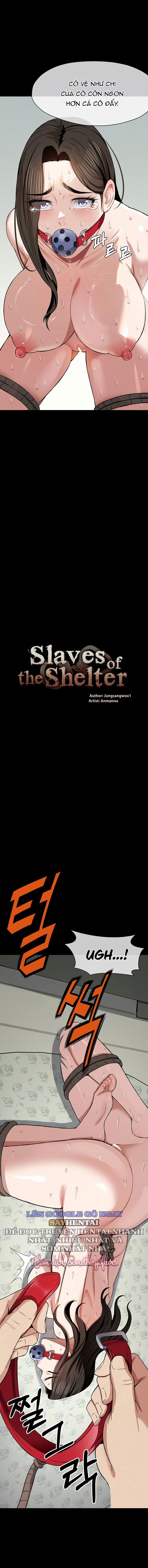 Nô Lệ Hầm Trú Ẩn 17 trang 2