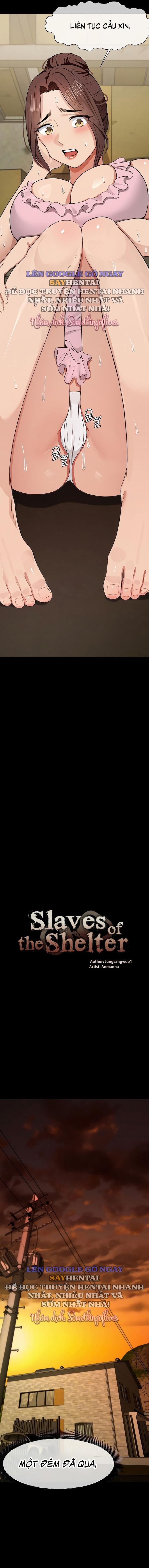 Nô Lệ Hầm Trú Ẩn 19 trang 1