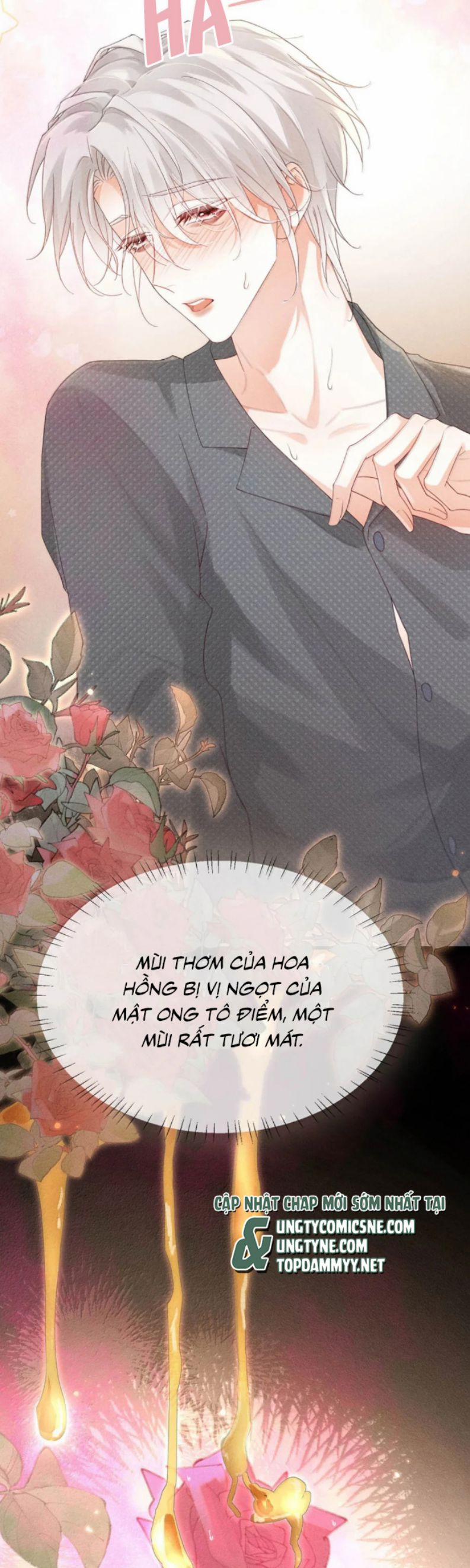 Nồng Đậm Tin Tức Tố 23 trang 20