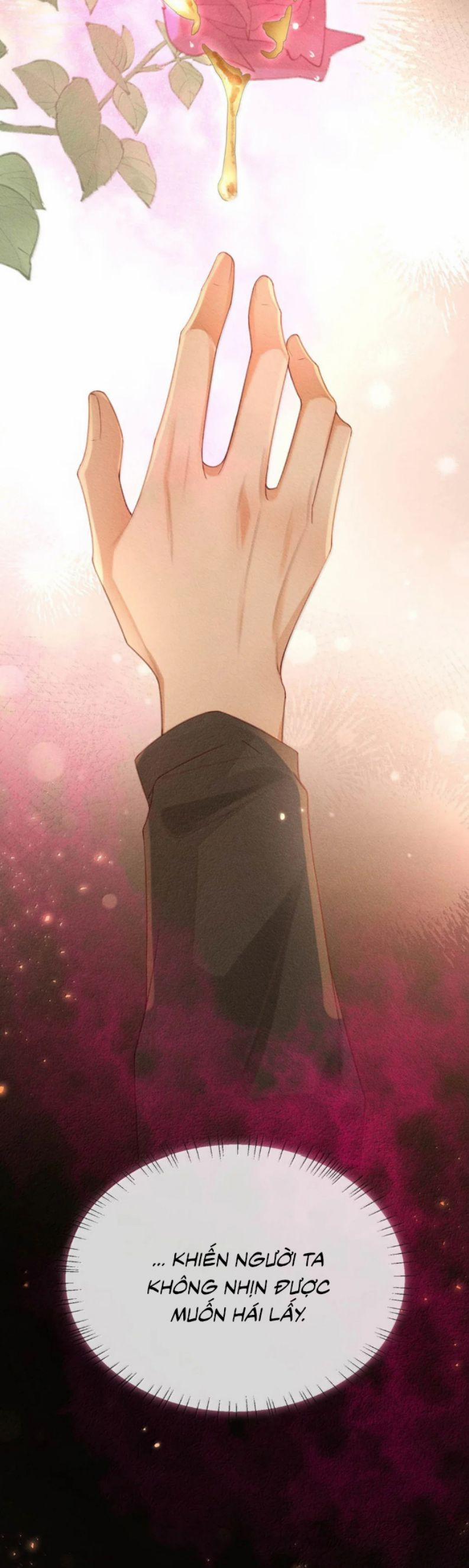 Nồng Đậm Tin Tức Tố 23 trang 21