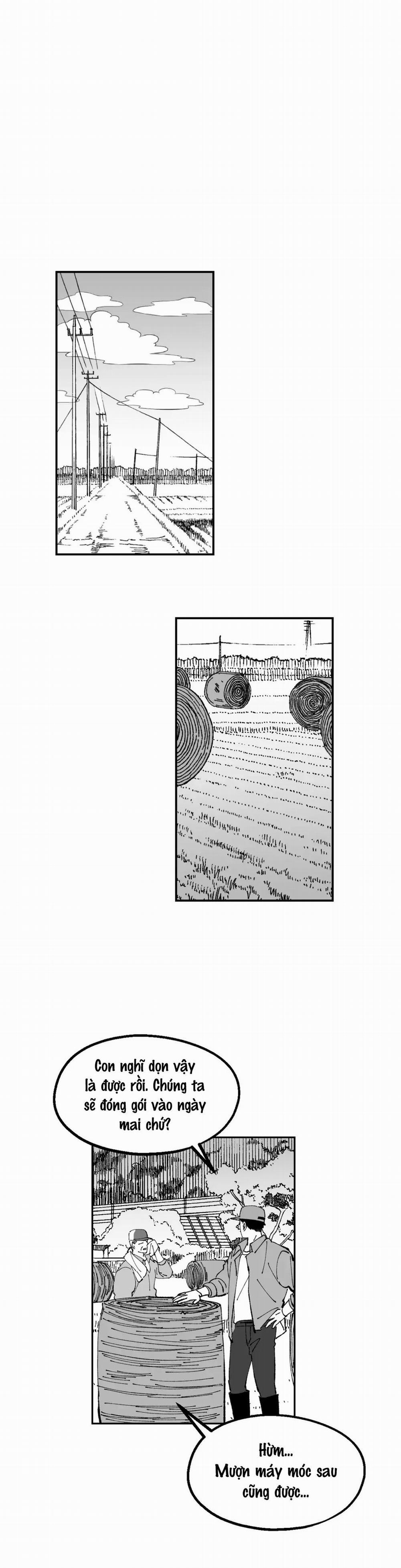 Nông trại tình yêu 14 trang 18