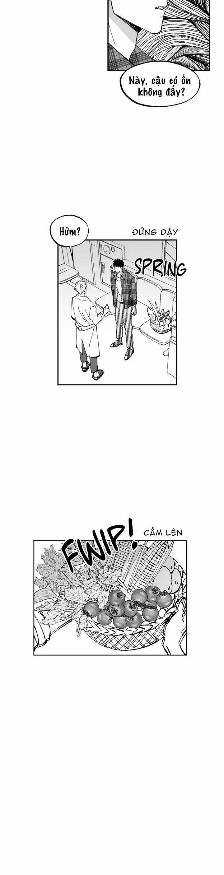 Nông trại tình yêu 2 trang 15