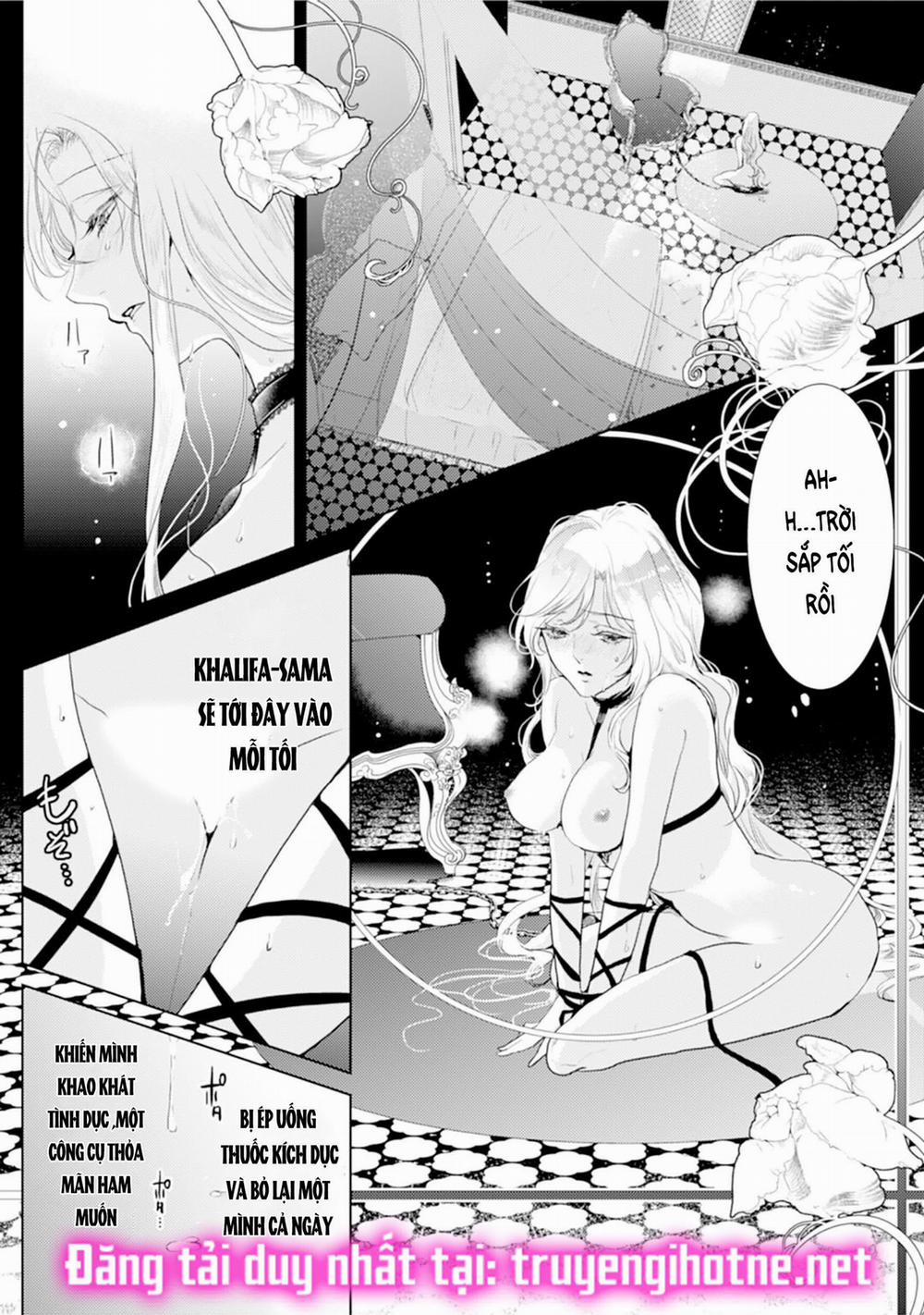 Nụ Cười Của Sự Kết Án 2 trang 7