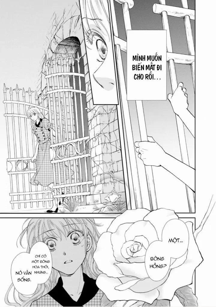 Nụ Hôn Ngọt Ngào Trên Đóa Hồng Đêm 4.1 trang 4