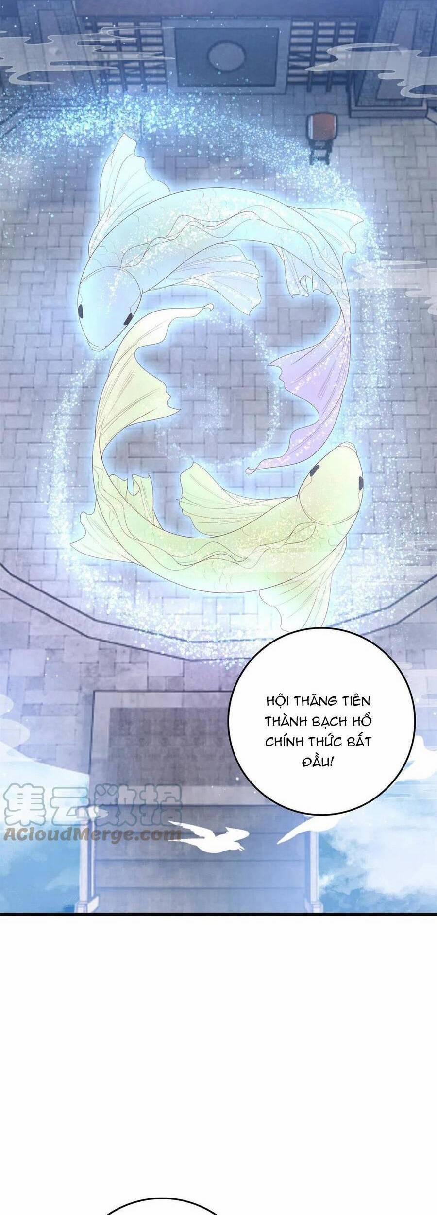 Nữ Phụ Không Thể Chọc Giận 79 trang 13