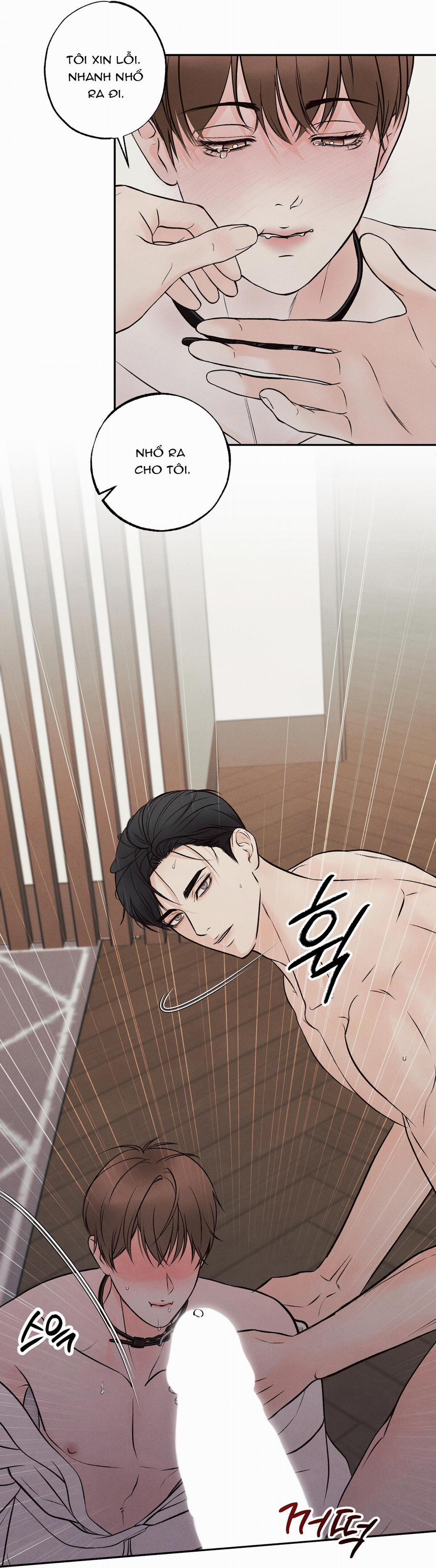 Nửa tỉnh nửa mê 3 0 trang 21