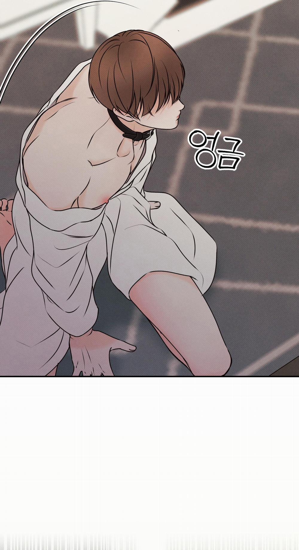 Nửa tỉnh nửa mê 3 trang 8