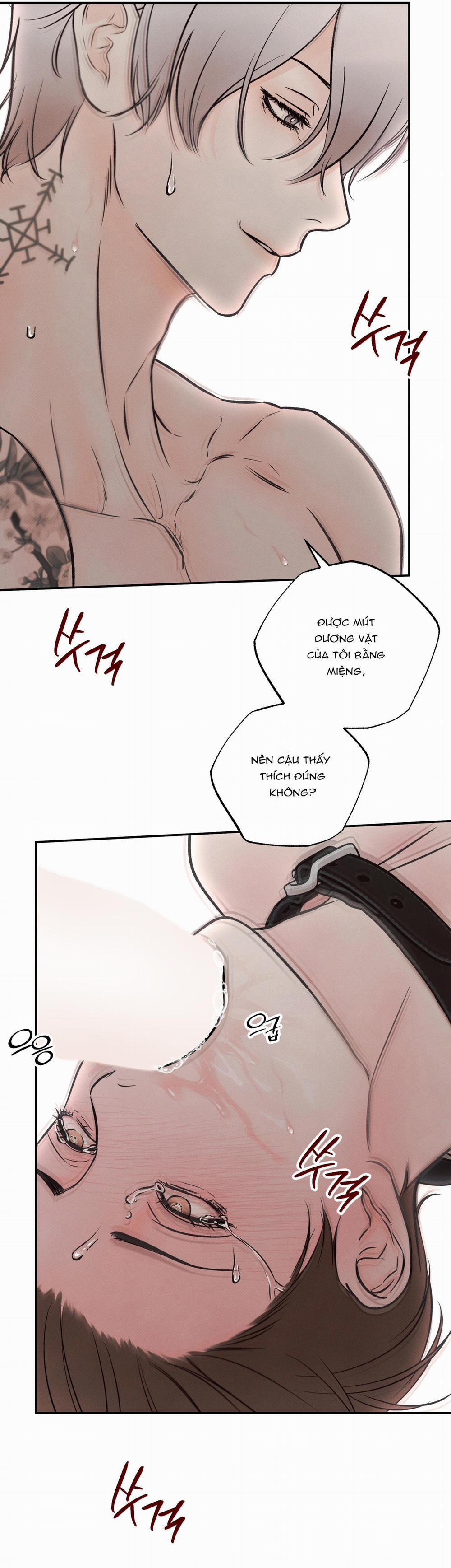 Nửa tỉnh nửa mê 4 trang 13