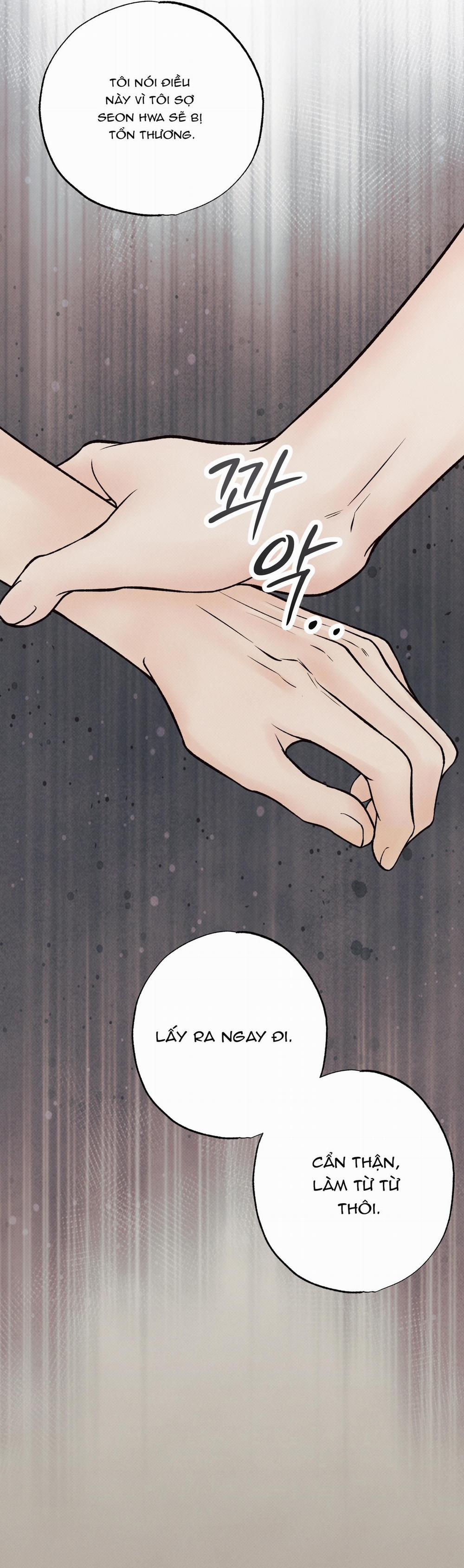 Nửa tỉnh nửa mê 4 trang 5