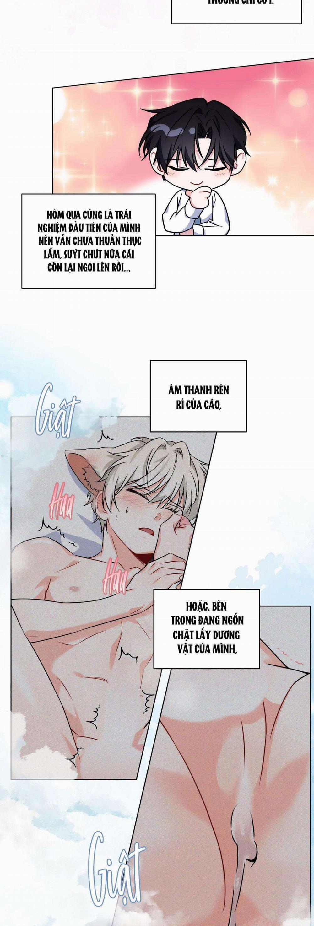 NƯỚC UỐNG TÌNH YÊU CỦA CÁO PLIN 10 trang 25