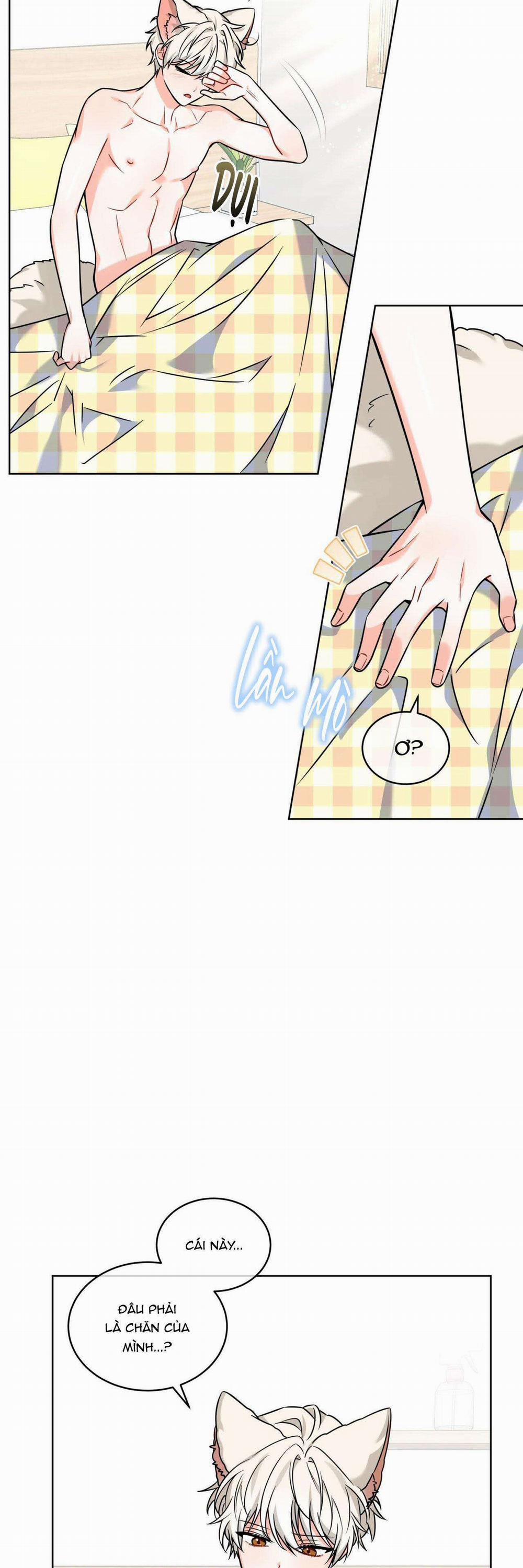 NƯỚC UỐNG TÌNH YÊU CỦA CÁO PLIN 10 trang 3