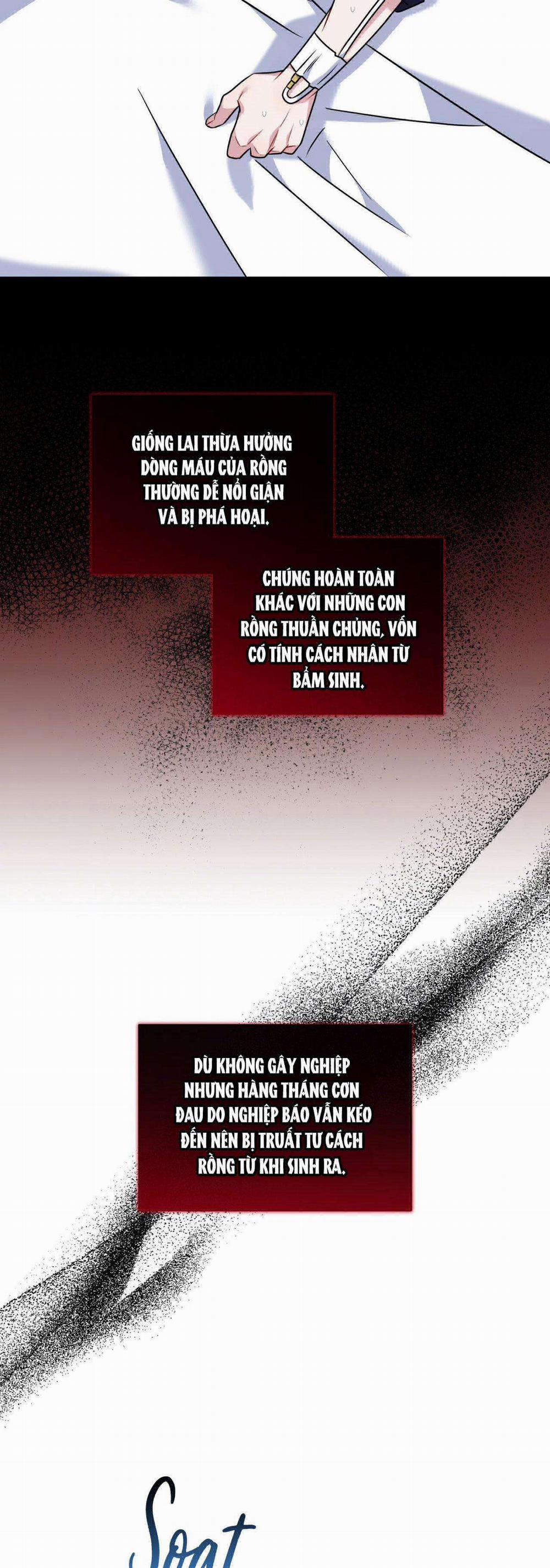 NƯỚC UỐNG TÌNH YÊU CỦA CÁO PLIN 10 trang 32