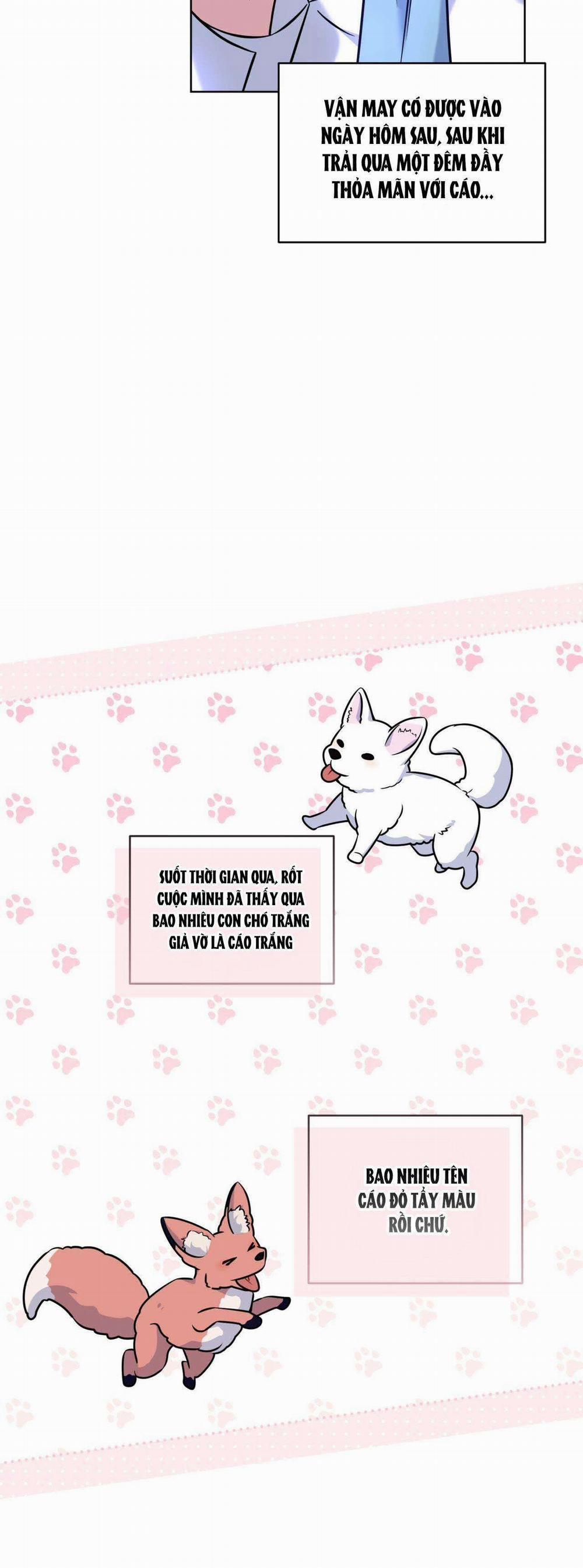 NƯỚC UỐNG TÌNH YÊU CỦA CÁO PLIN 10 trang 40