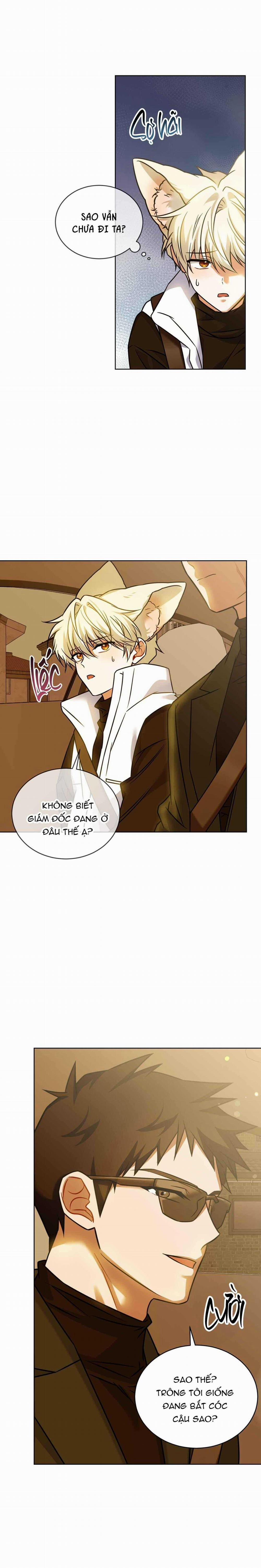 NƯỚC UỐNG TÌNH YÊU CỦA CÁO PLIN 32 trang 1