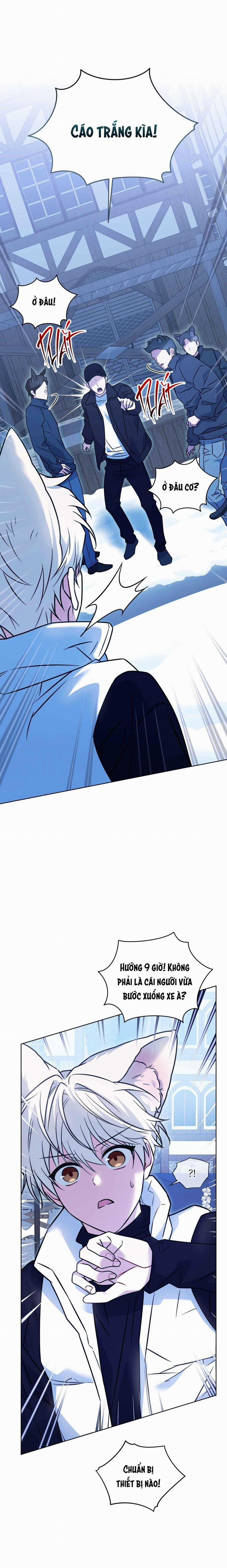 NƯỚC UỐNG TÌNH YÊU CỦA CÁO PLIN 32 trang 13