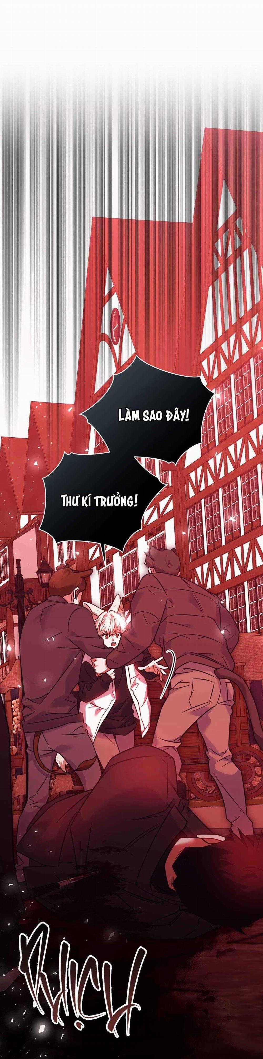 NƯỚC UỐNG TÌNH YÊU CỦA CÁO PLIN 32 trang 19