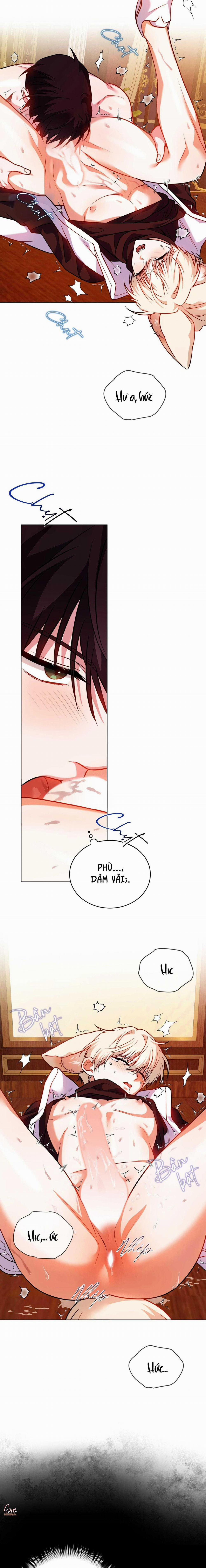 NƯỚC UỐNG TÌNH YÊU CỦA CÁO PLIN 35 trang 1